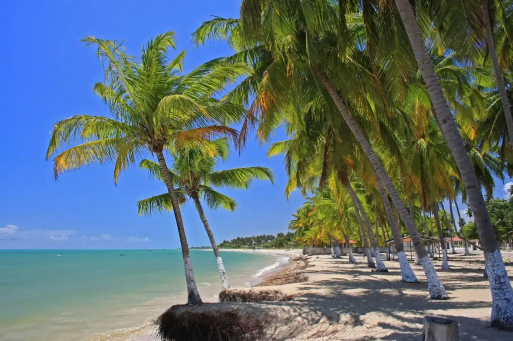 Praia de Paripueira: Um Paraíso Natural