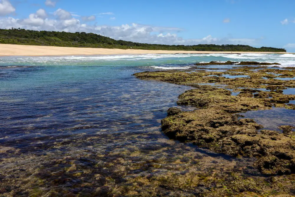 Praia de Patimirim